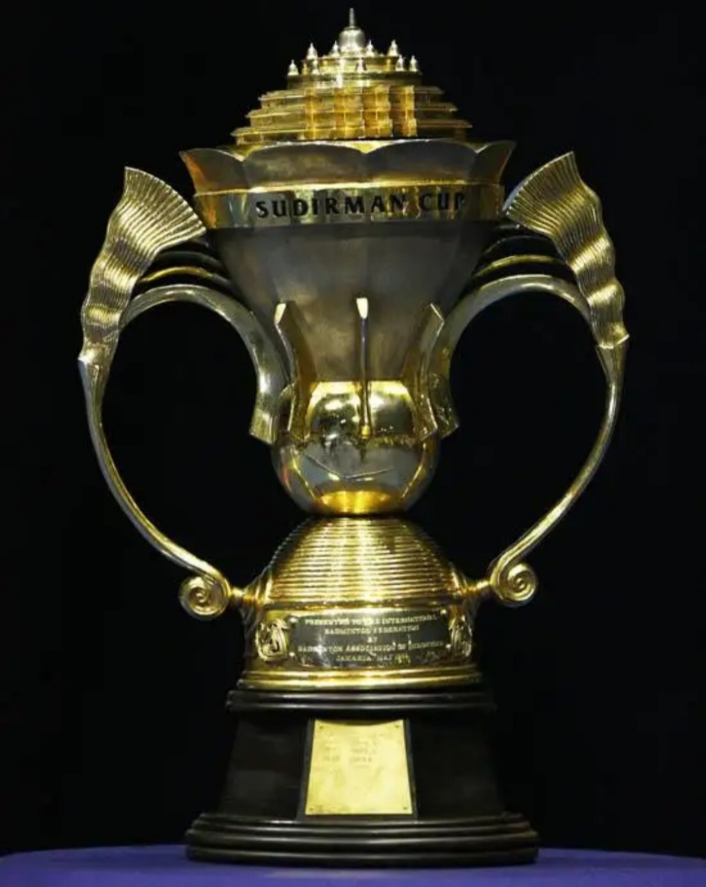 俄罗斯球员斩获国际大奖，成就引人注目